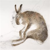 bert-hemsteede-online-formaat